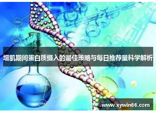 增肌期间蛋白质摄入的最佳策略与每日推荐量科学解析