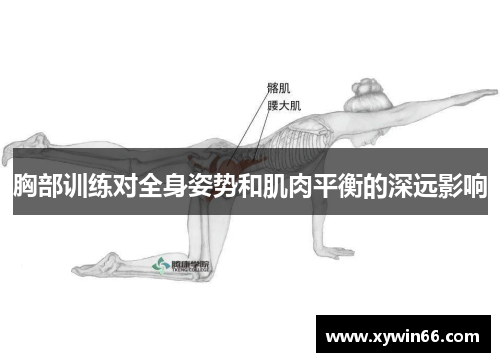 胸部训练对全身姿势和肌肉平衡的深远影响